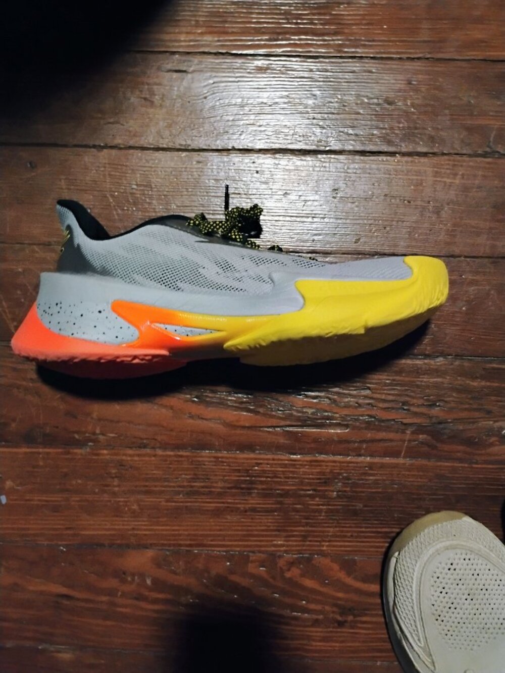 Curry Series 7